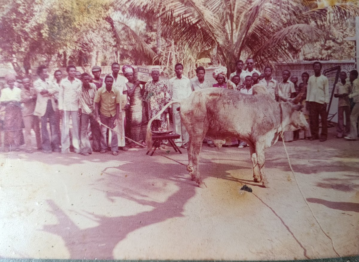 NNANYELUGO 🦅🇦🇫🇦🇫 🇦🇫 tweet media