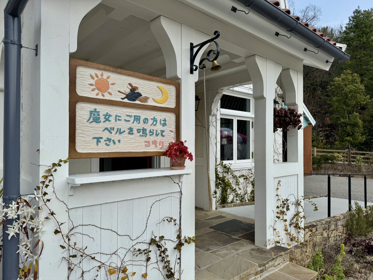 2年で蔦が来てるね〜！🌱
フサフサにな〜れ🪄