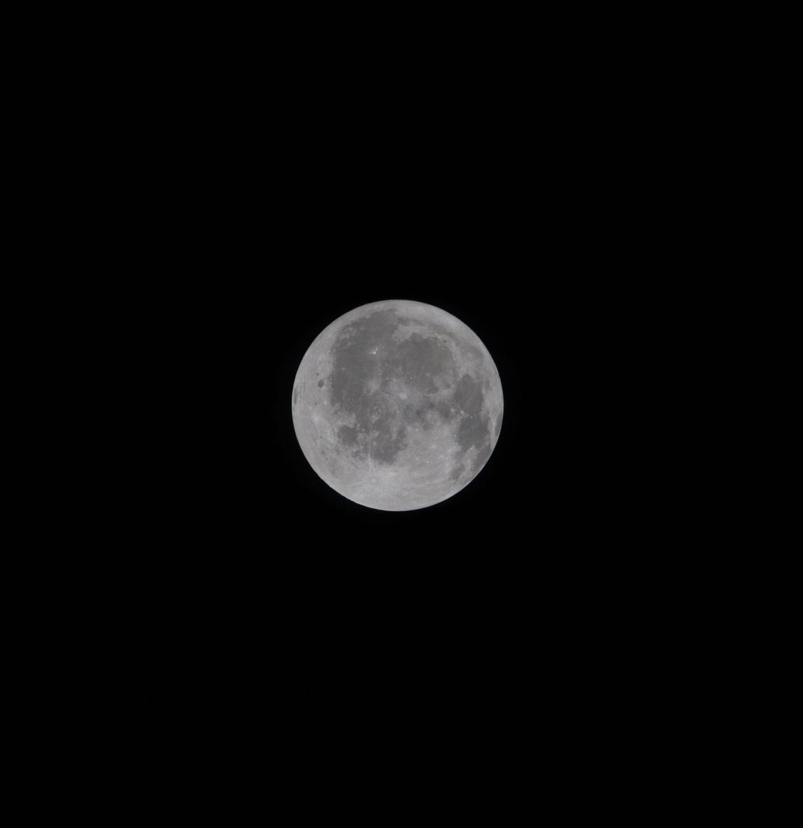 Kulturlesite_'s tweet photo. 🌑 MAGNIFIQUE 

Les ASTRONAUTES de ARTEMIS II dévoilent une nouvelle photo de la LUNE !! 

(Via. @NASA) https://t.co/UiWdihRBtA