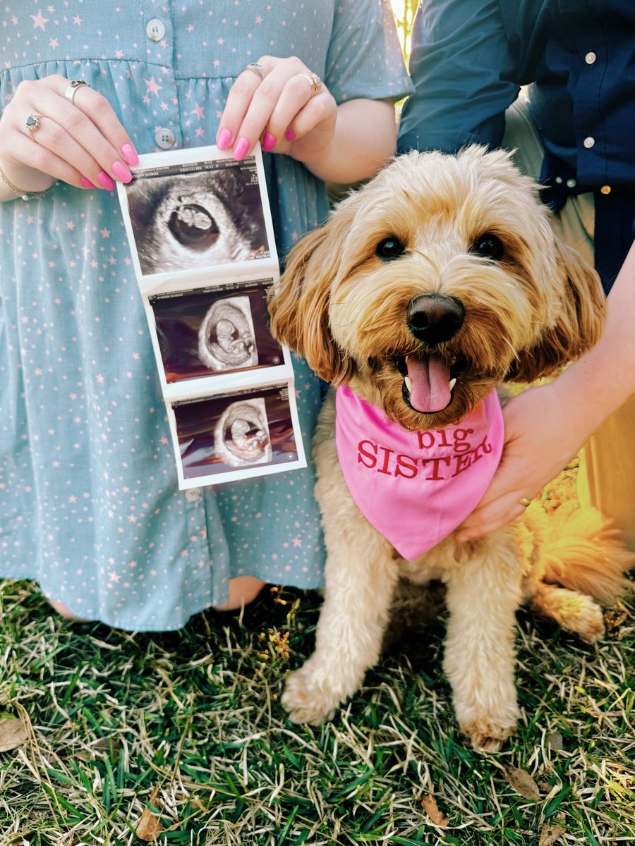 Collyn Taylor tweet media