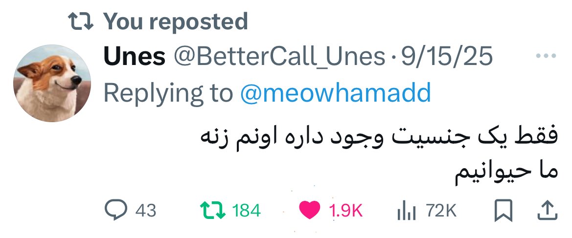 آرامی که آرام نیست! tweet media