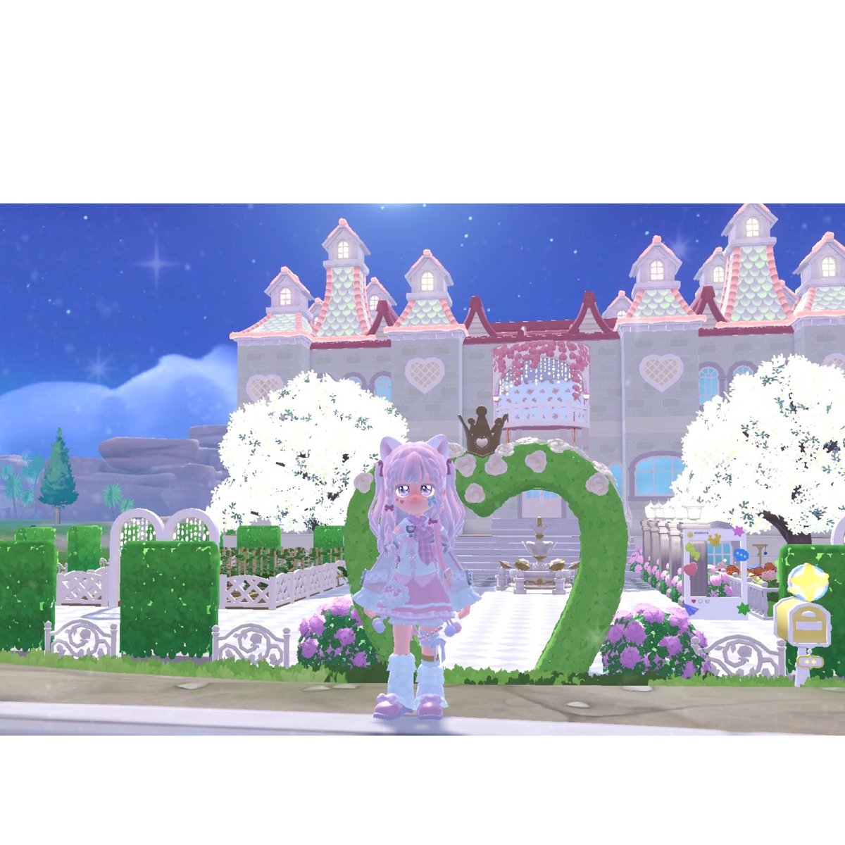 にゃち🦈🫧 tweet media