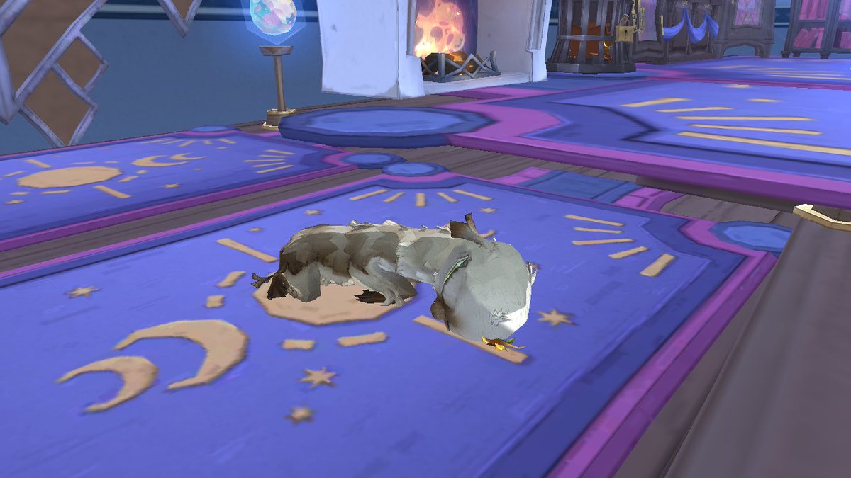 DD子@のんびり tweet media