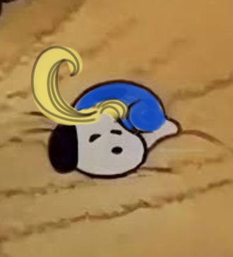 Caelus²²⁴⁴⁸¹🖋️⚡ tweet media