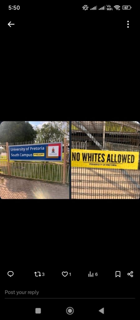 Brick Loomis tweet media