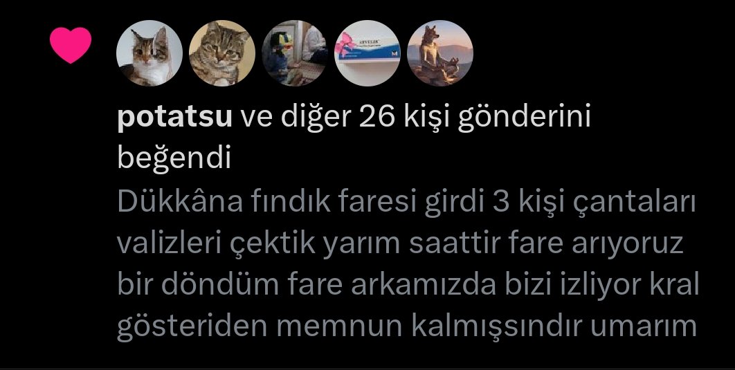 Gergin Görünüşlü Adam tweet media