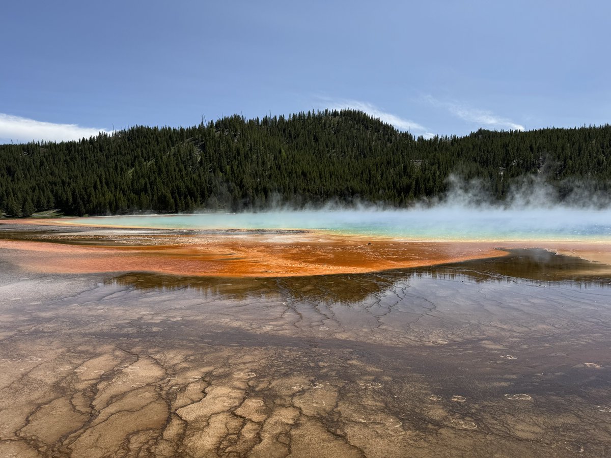 Rancher Dustin 𓃒 tweet media