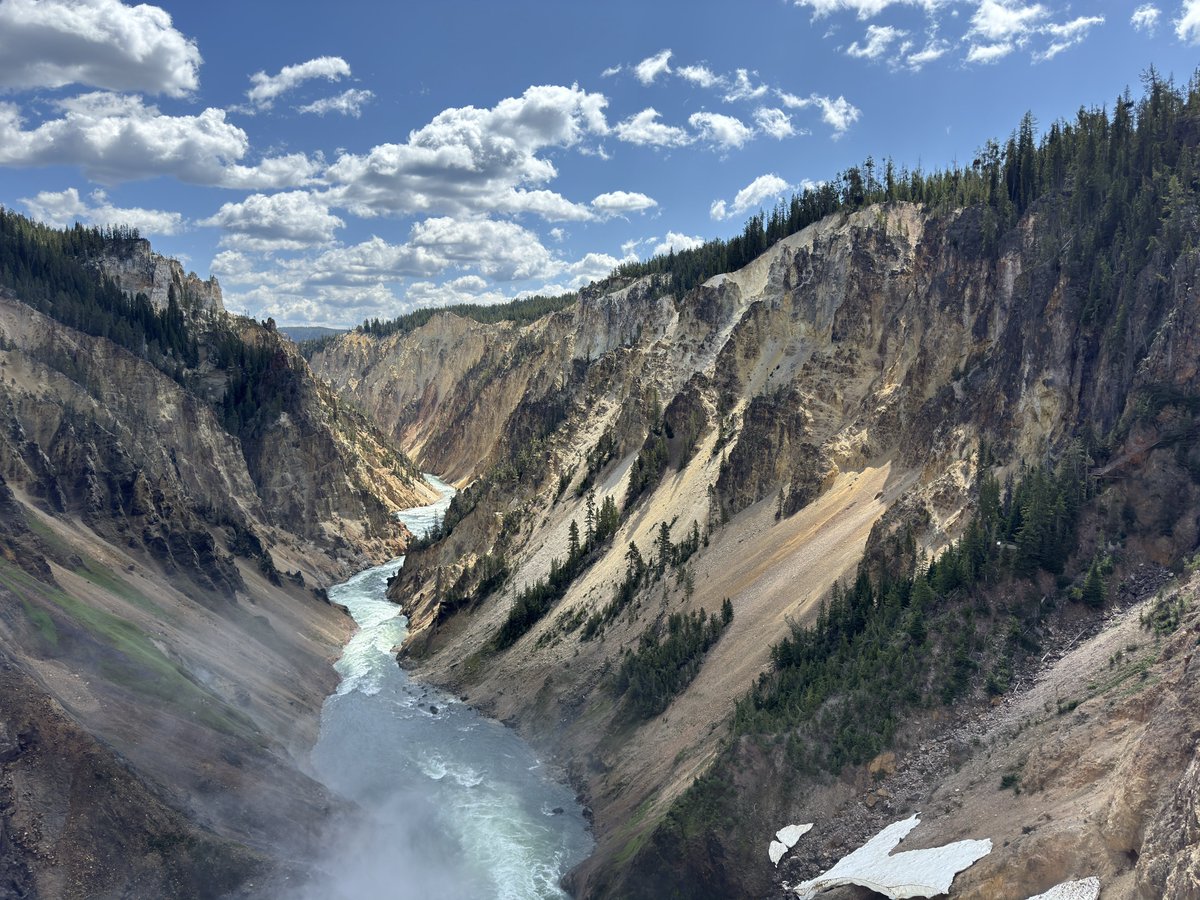 Rancher Dustin 𓃒 tweet media