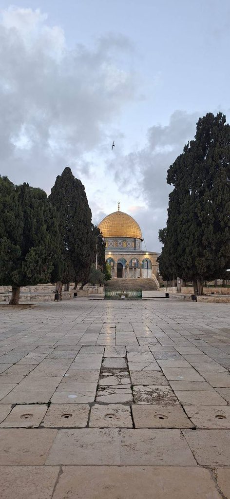 Masjid Al Aqsa has been CLOSED by Israel since 28 February,  the longest closure by Israeli occupation since it occupied the holy site in 1967. This is unprecedented. #HandsOffAlAqsa