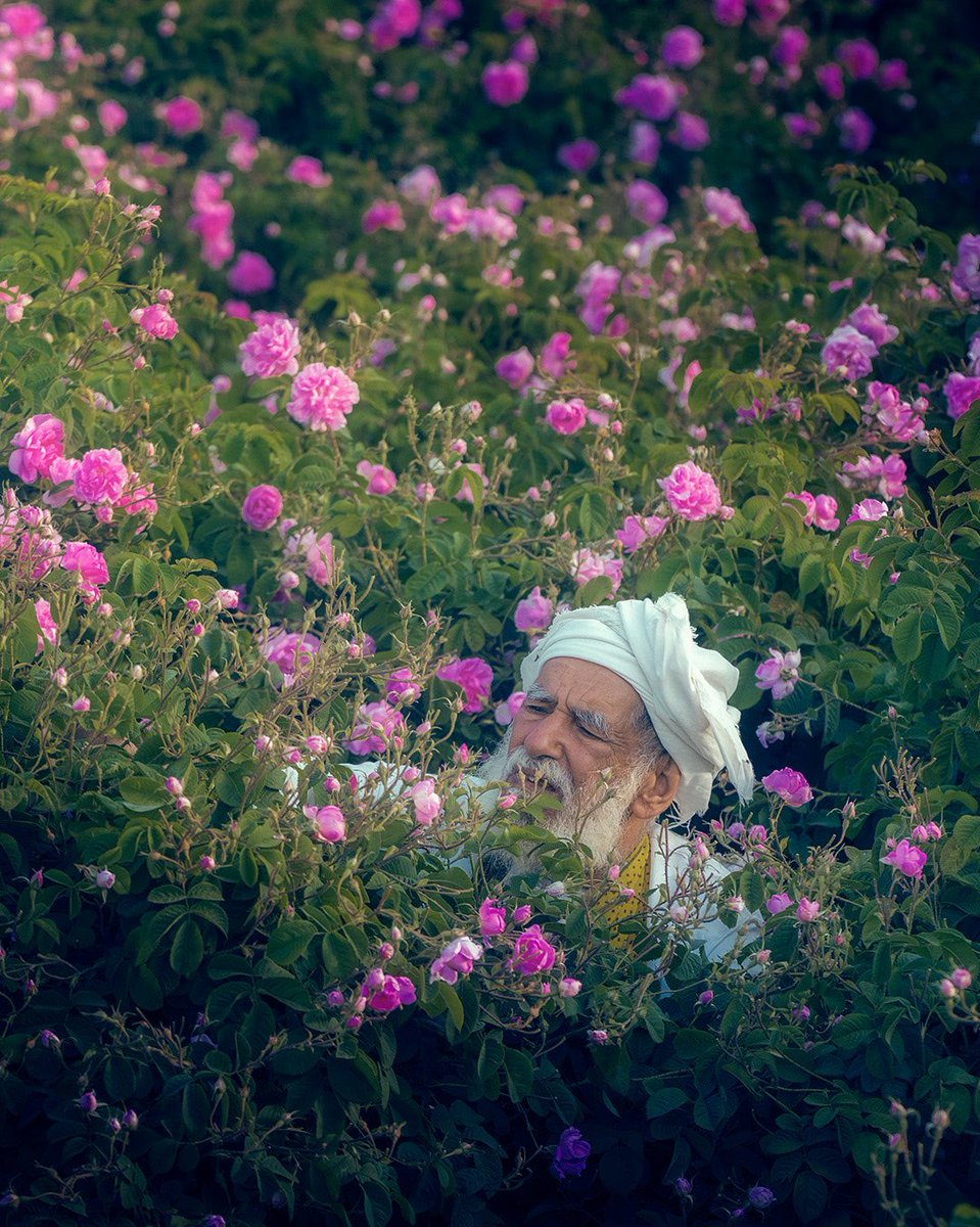 فيل🐘 tweet media