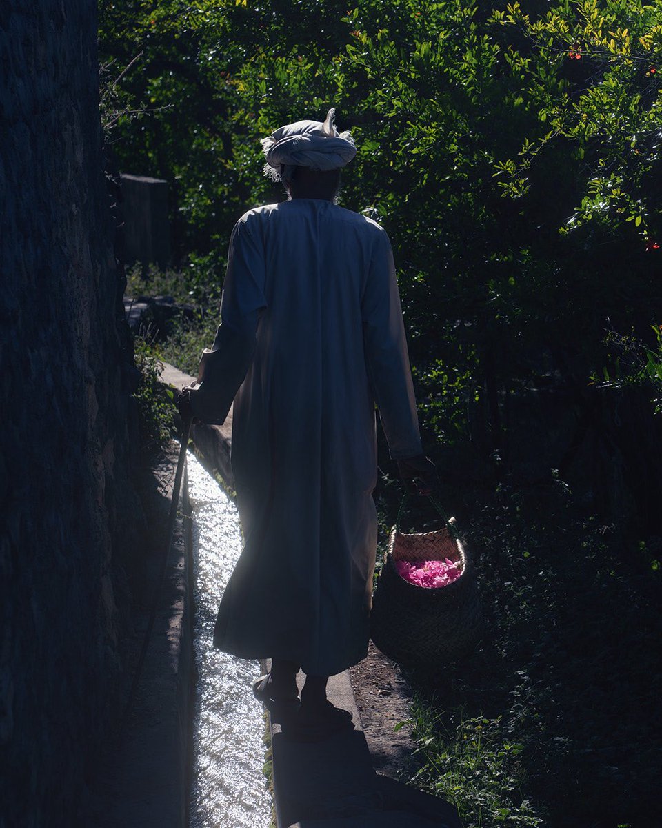 فيل🐘 tweet media