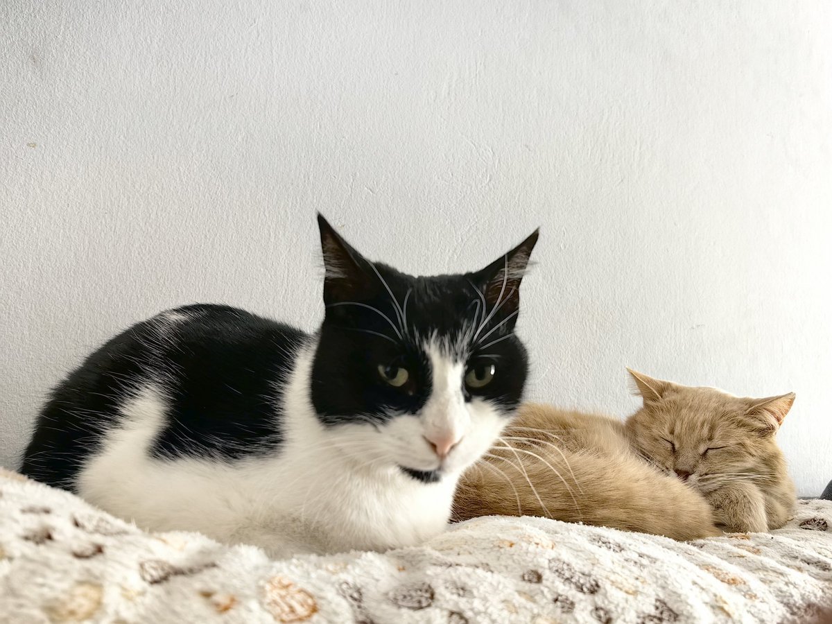 Insane Clock tweet media