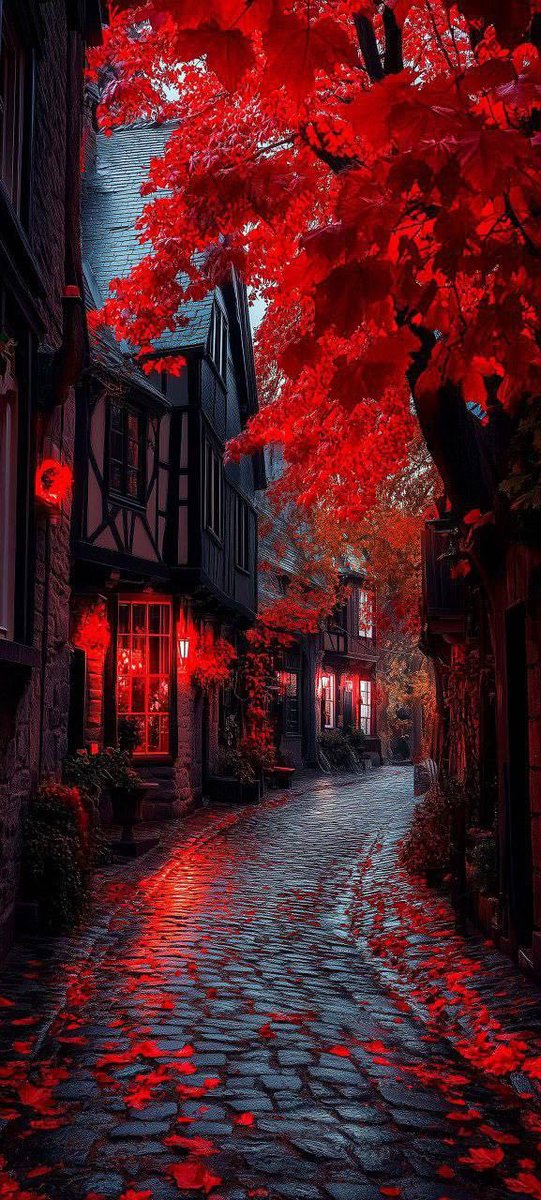 عبدالله tweet media