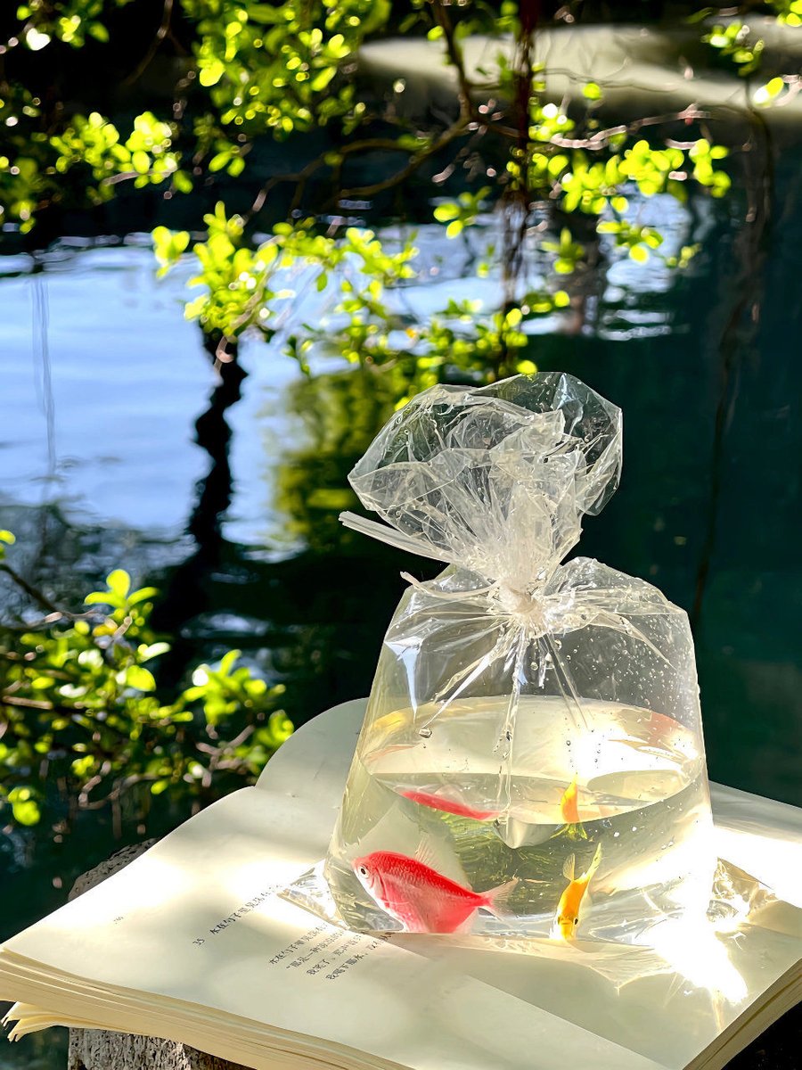 Tink's Tea Party tweet media