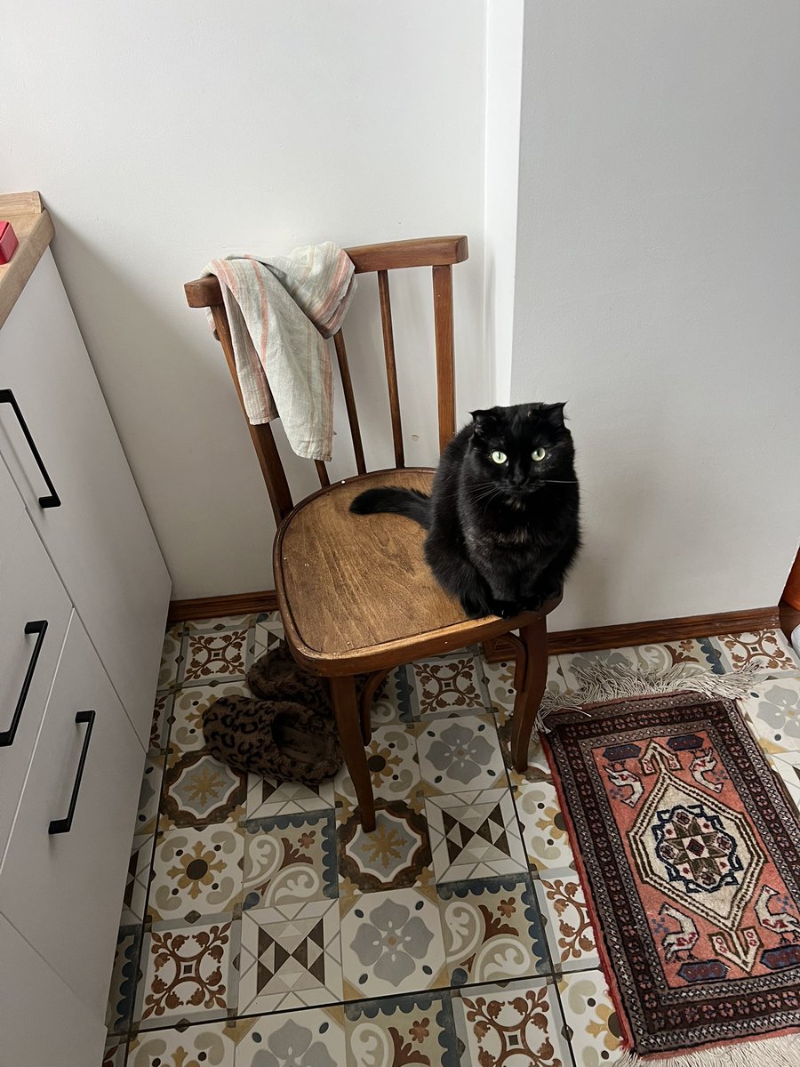 нарцисизм tweet media