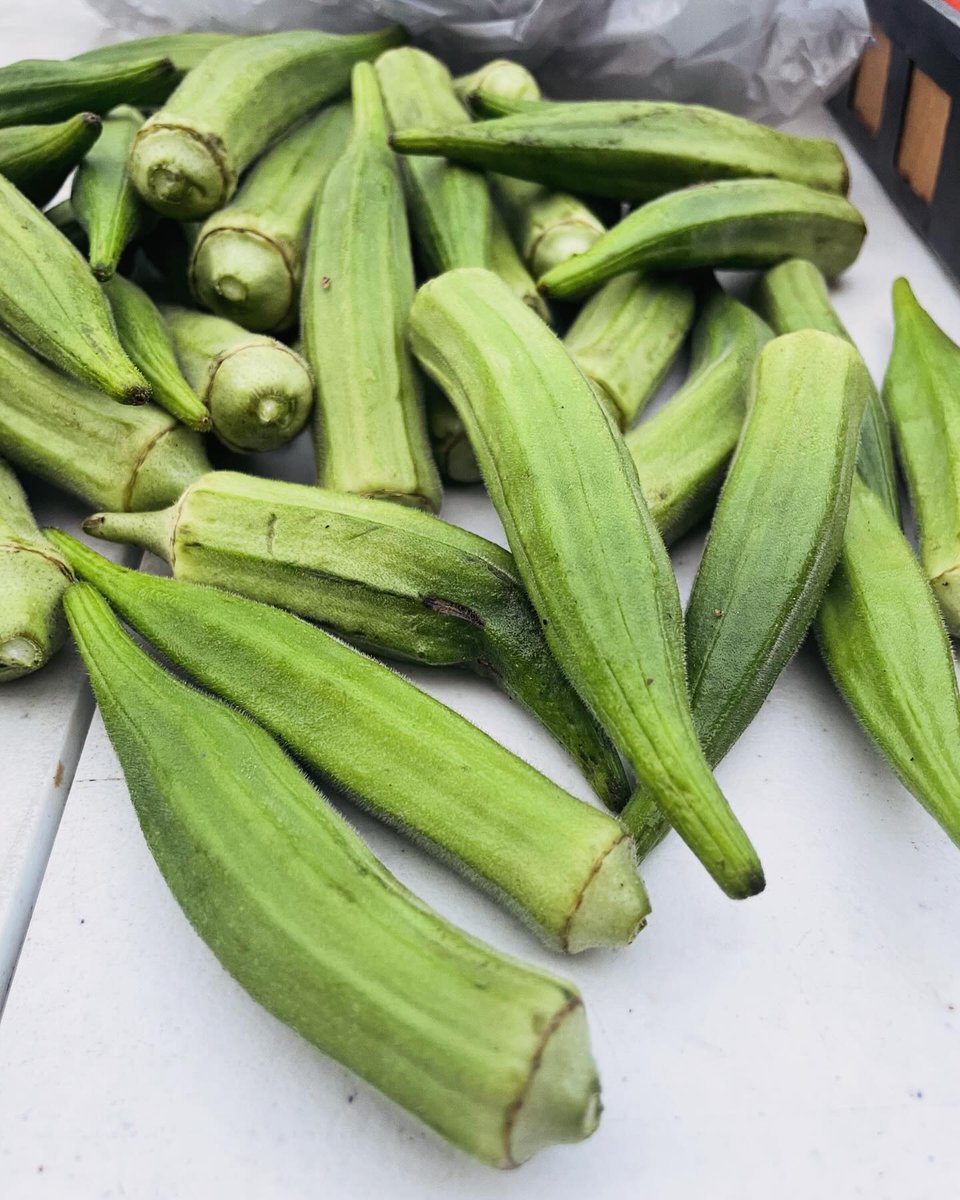 Rome-Floyd Parks&Rec tweet media