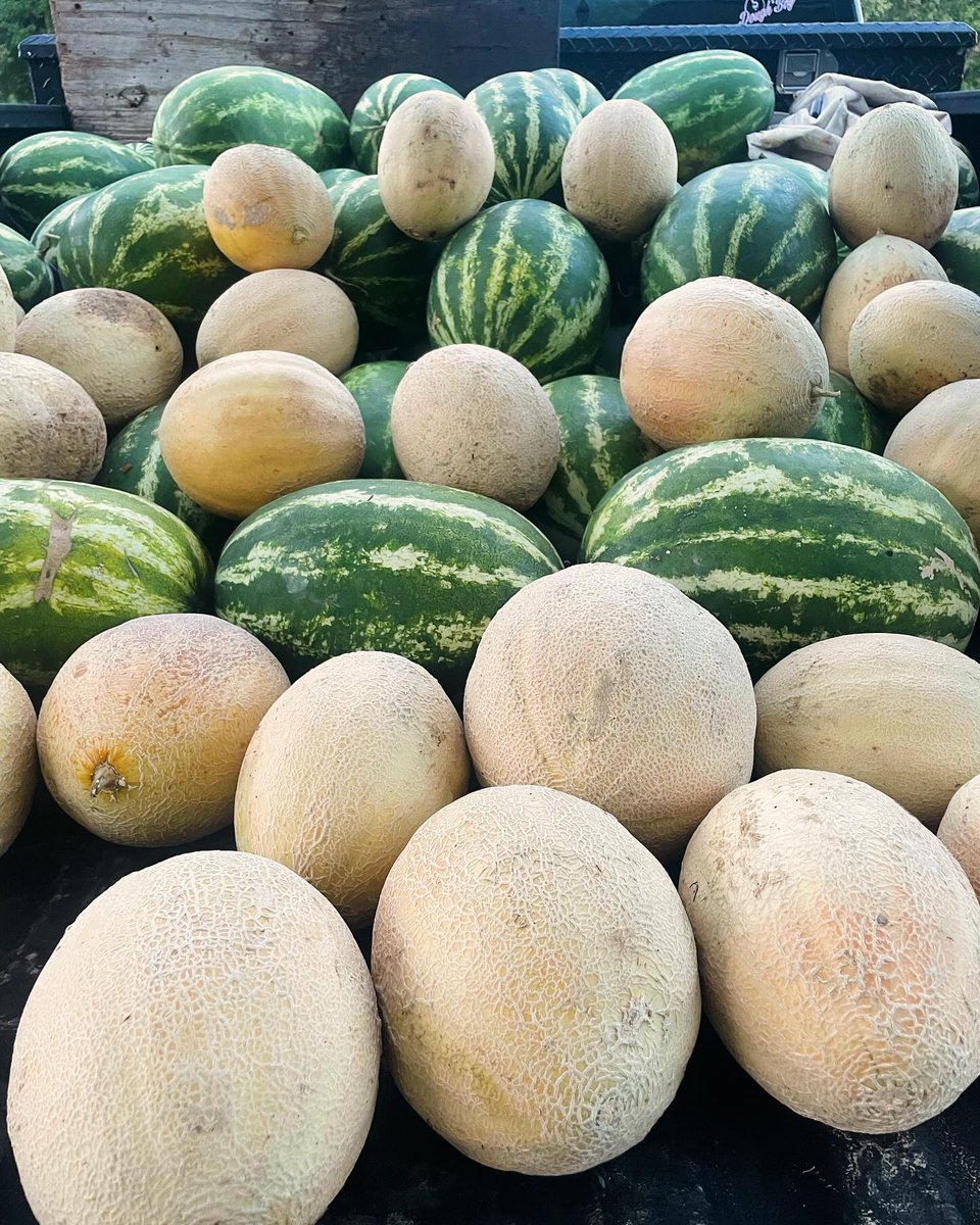 Rome-Floyd Parks&Rec tweet media