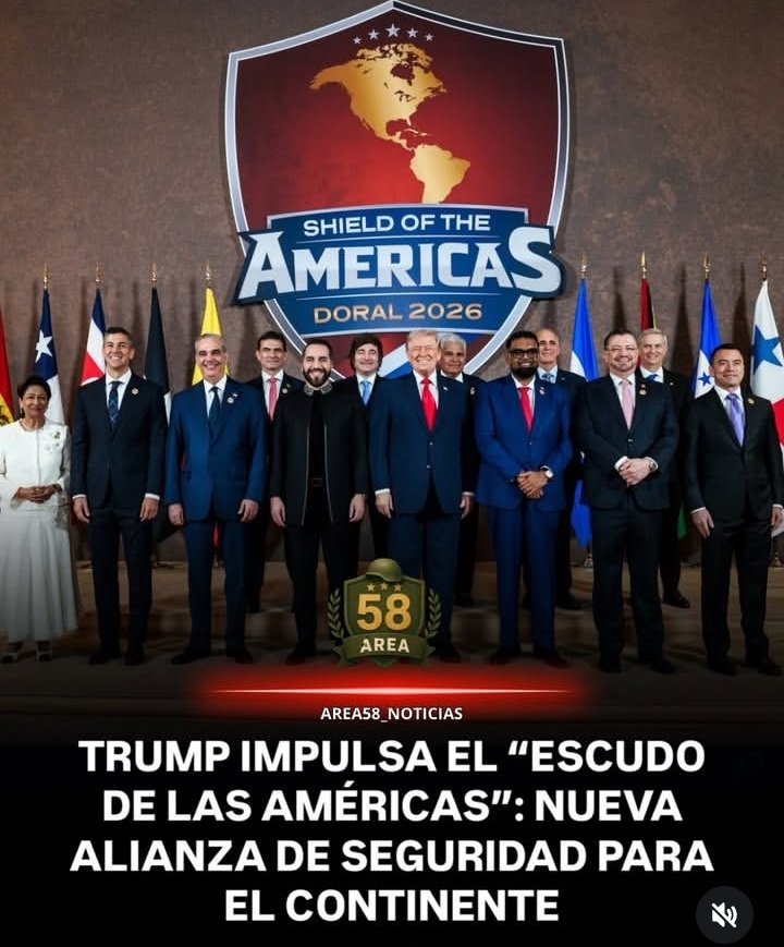 ClaridadPanamá 🐱🐱🐱🐱🐱🇵🇦🇵🇸 tweet media