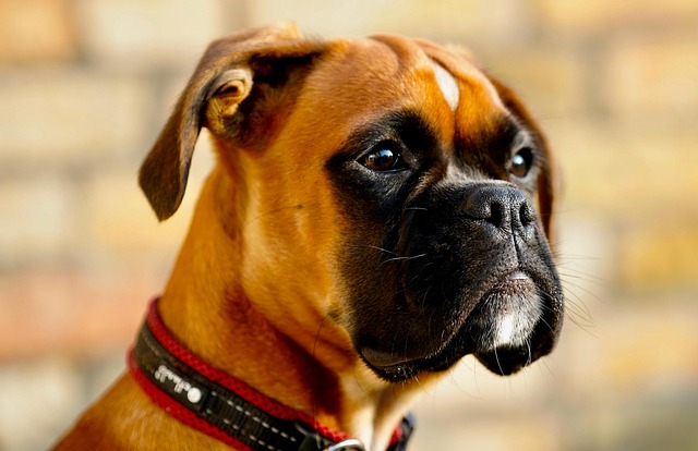 Jan Fogel tweet media