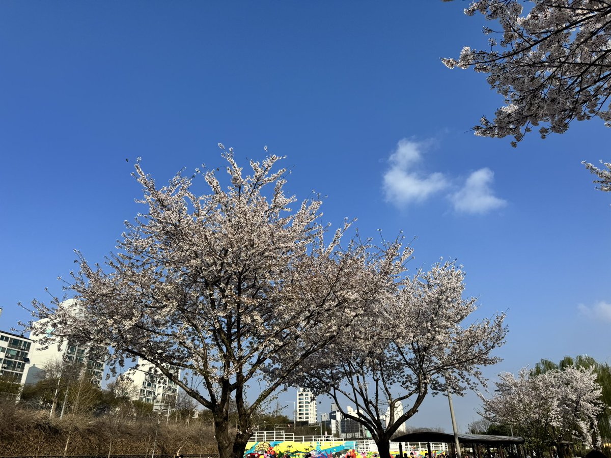 핑크크리 tweet media