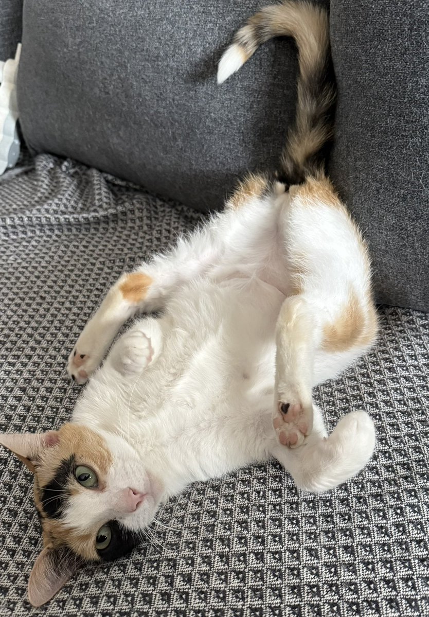 Victor Emmanuel tweet media