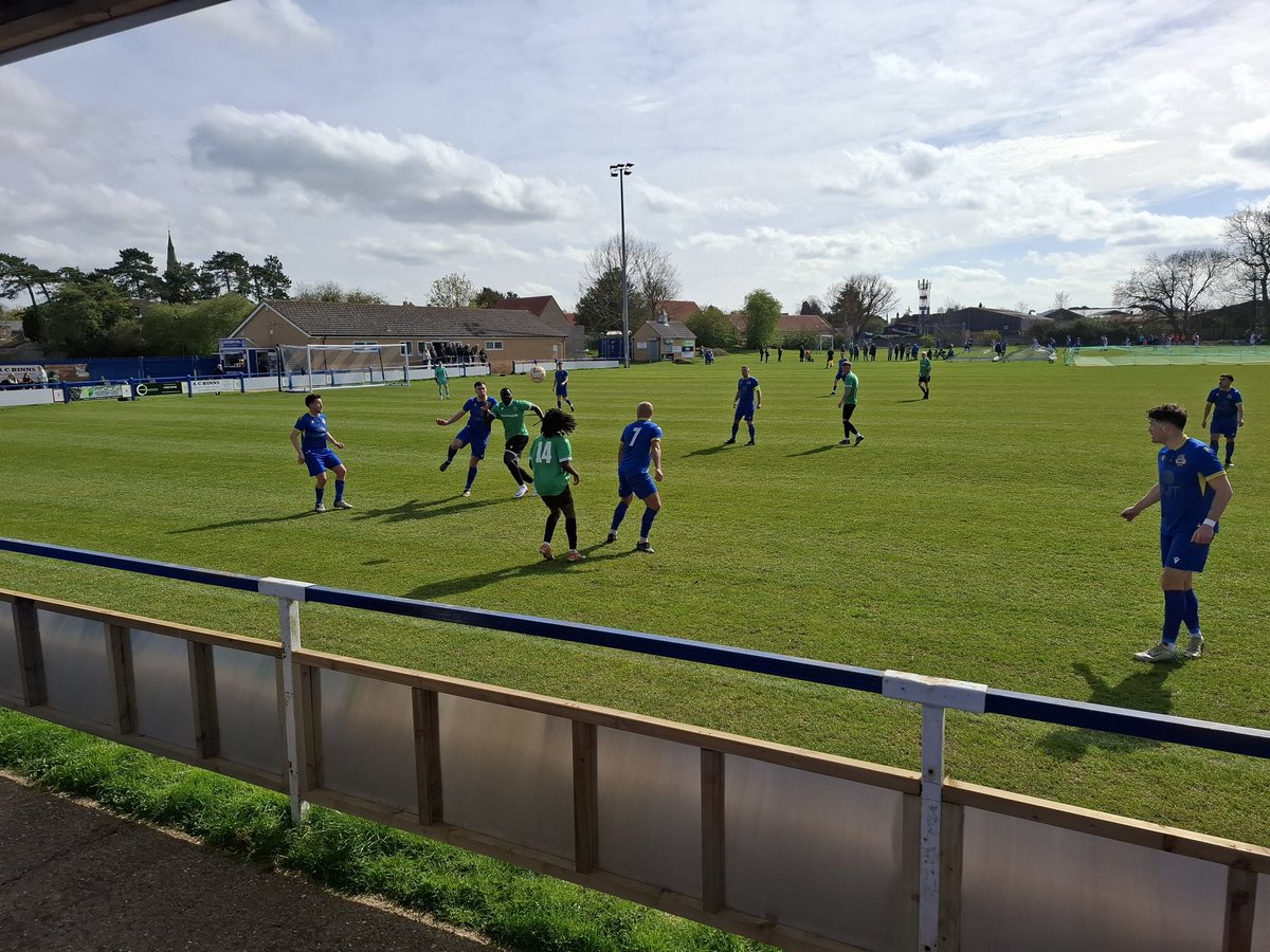 Daniel Tortoise tweet media