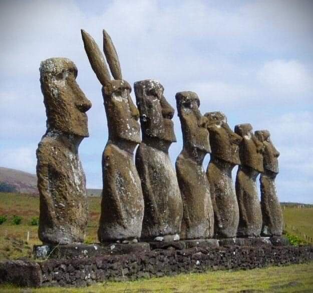 Anibal Litvin tweet media