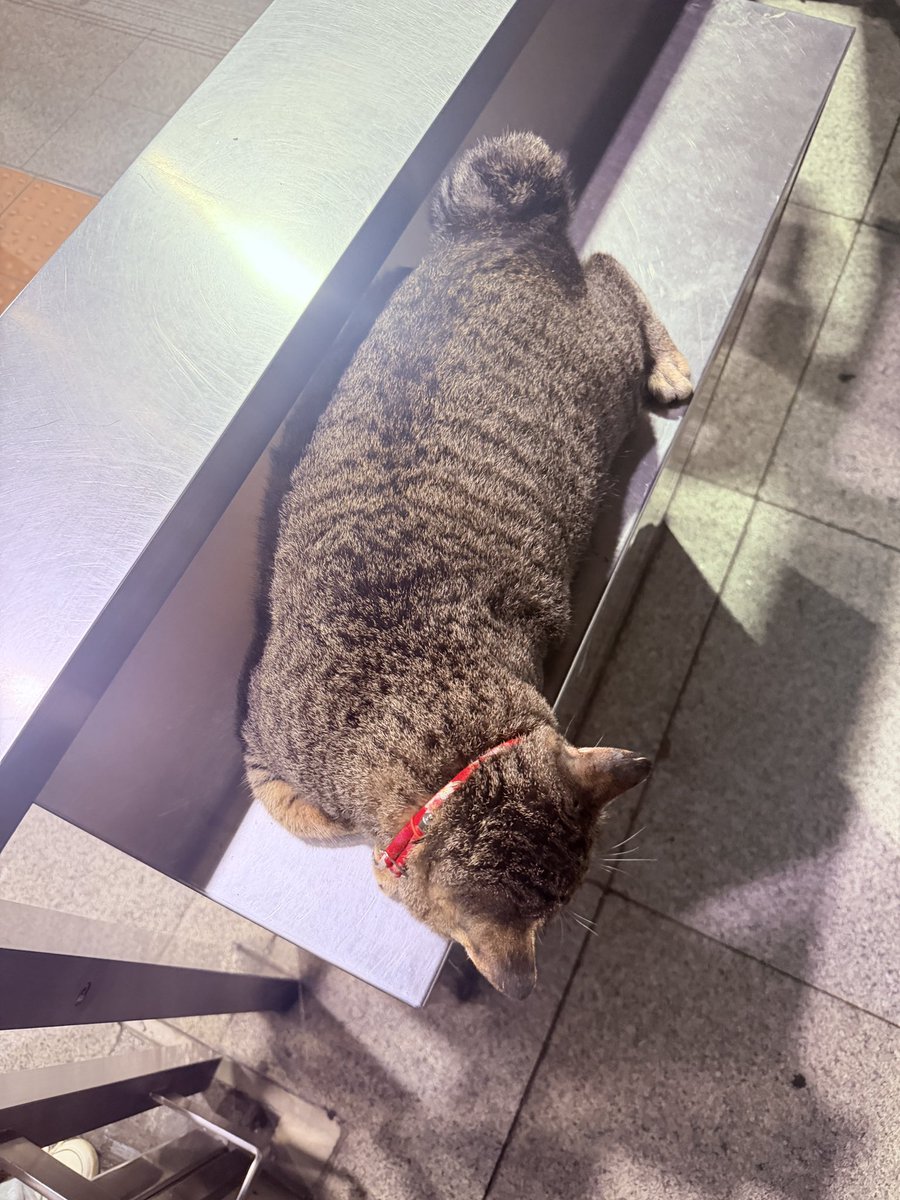 คาลิ 🌻 tweet media