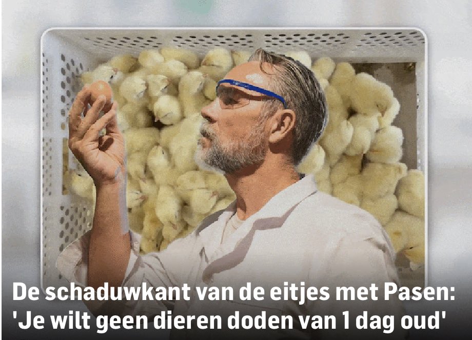 René Dercksen tweet media