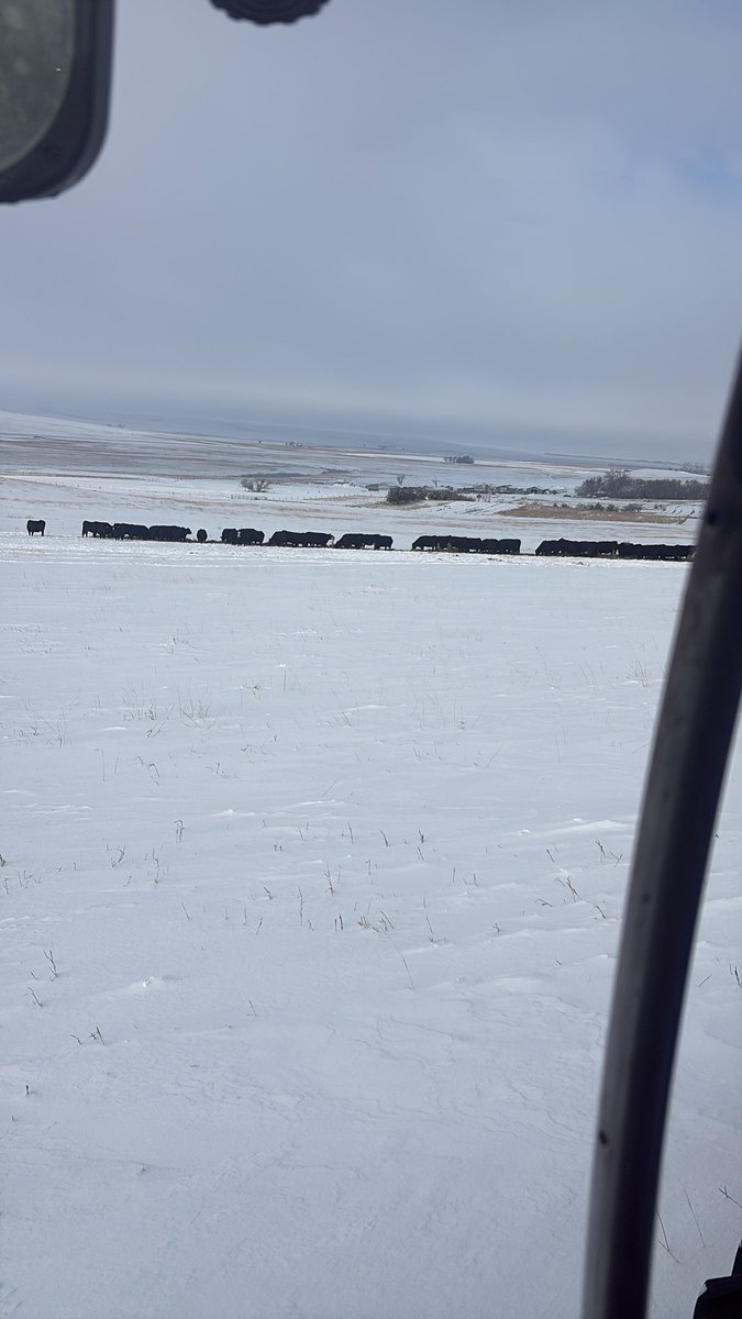 JP Farm and Ranch tweet media