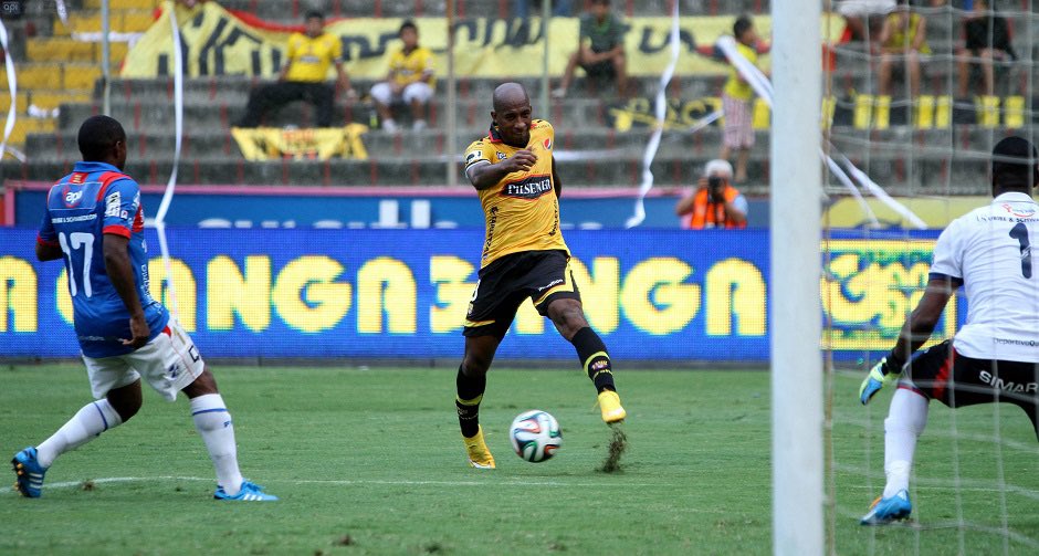 Gato Sessa🇩🇪 tweet media