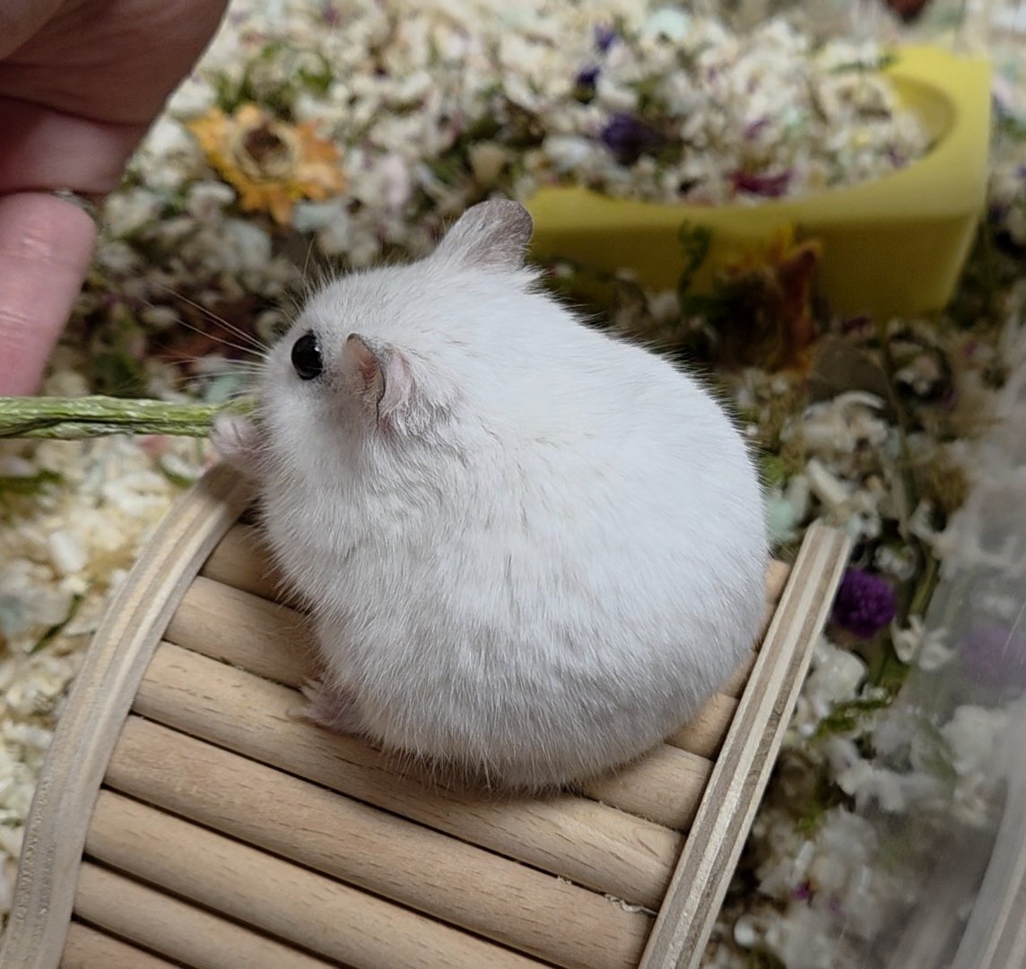 조지와 에드 tweet media