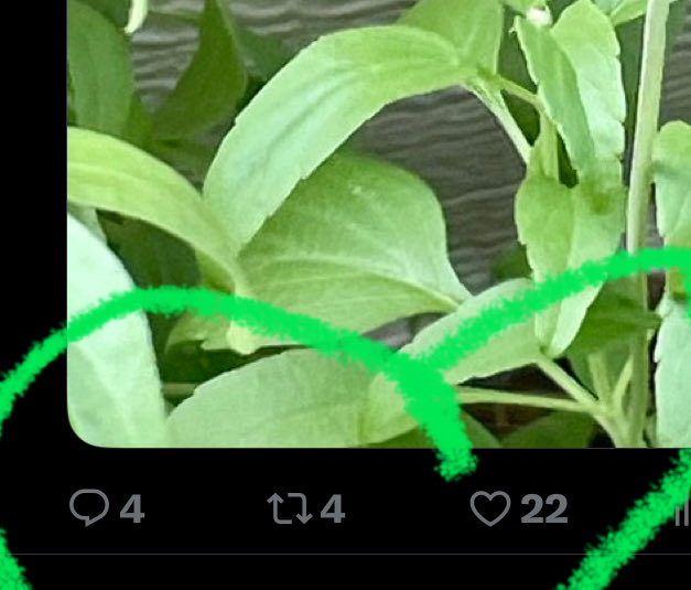 candi christa tweet media