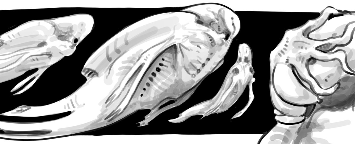 Kira Zhuravel 🇺🇦 tweet media