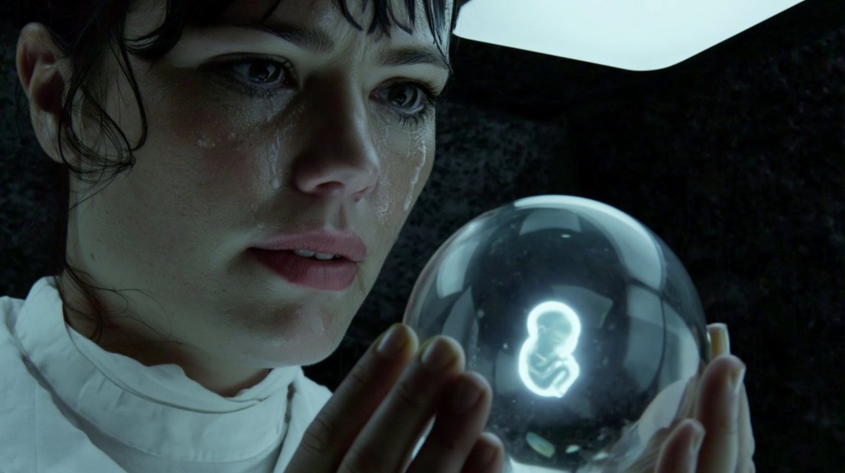 Sycomore tweet media