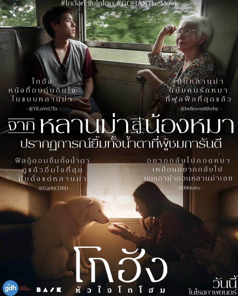 igforpt :) tweet media