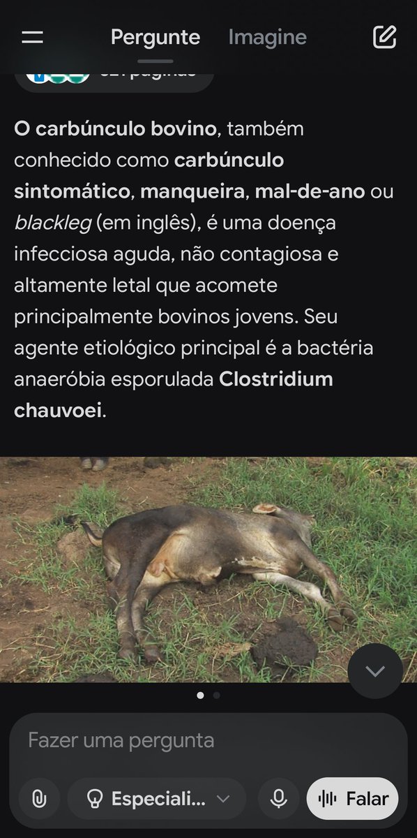 Angelo Sobrinho tweet media