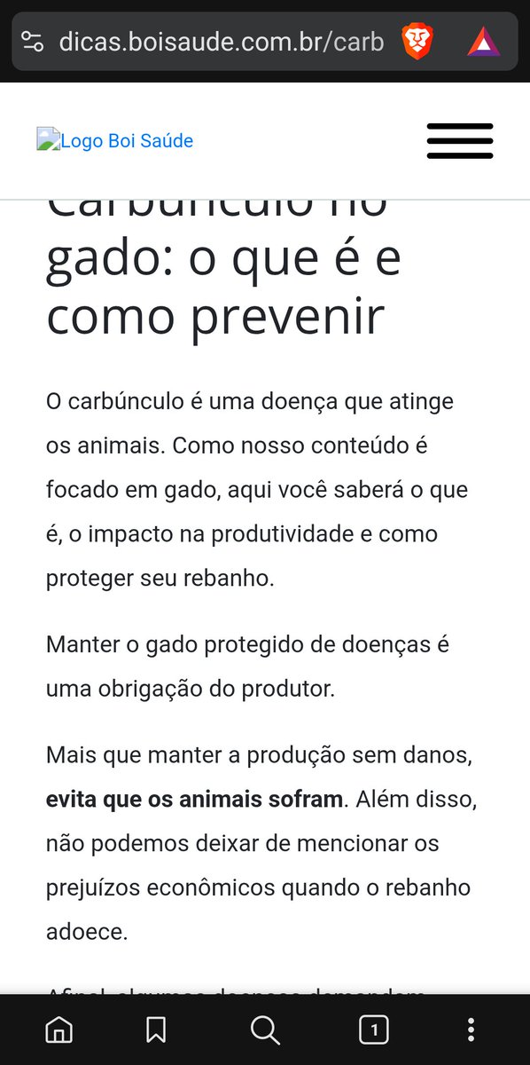 Angelo Sobrinho tweet media
