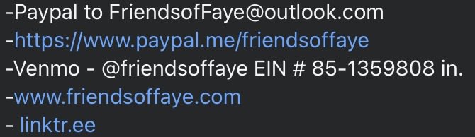 @PawsnTails4TX 🇺🇸🇺🇸🐾🐾 tweet media