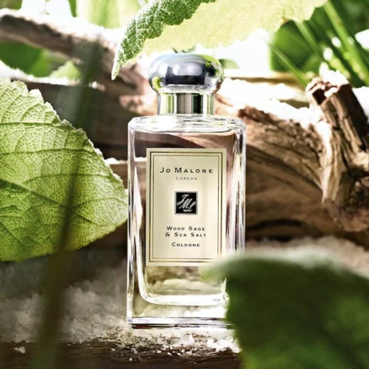 なちちゃん tweet media