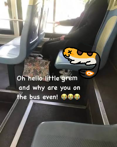 Reo ✶ 👧 STREAM ILL STILL BE HERE tweet media