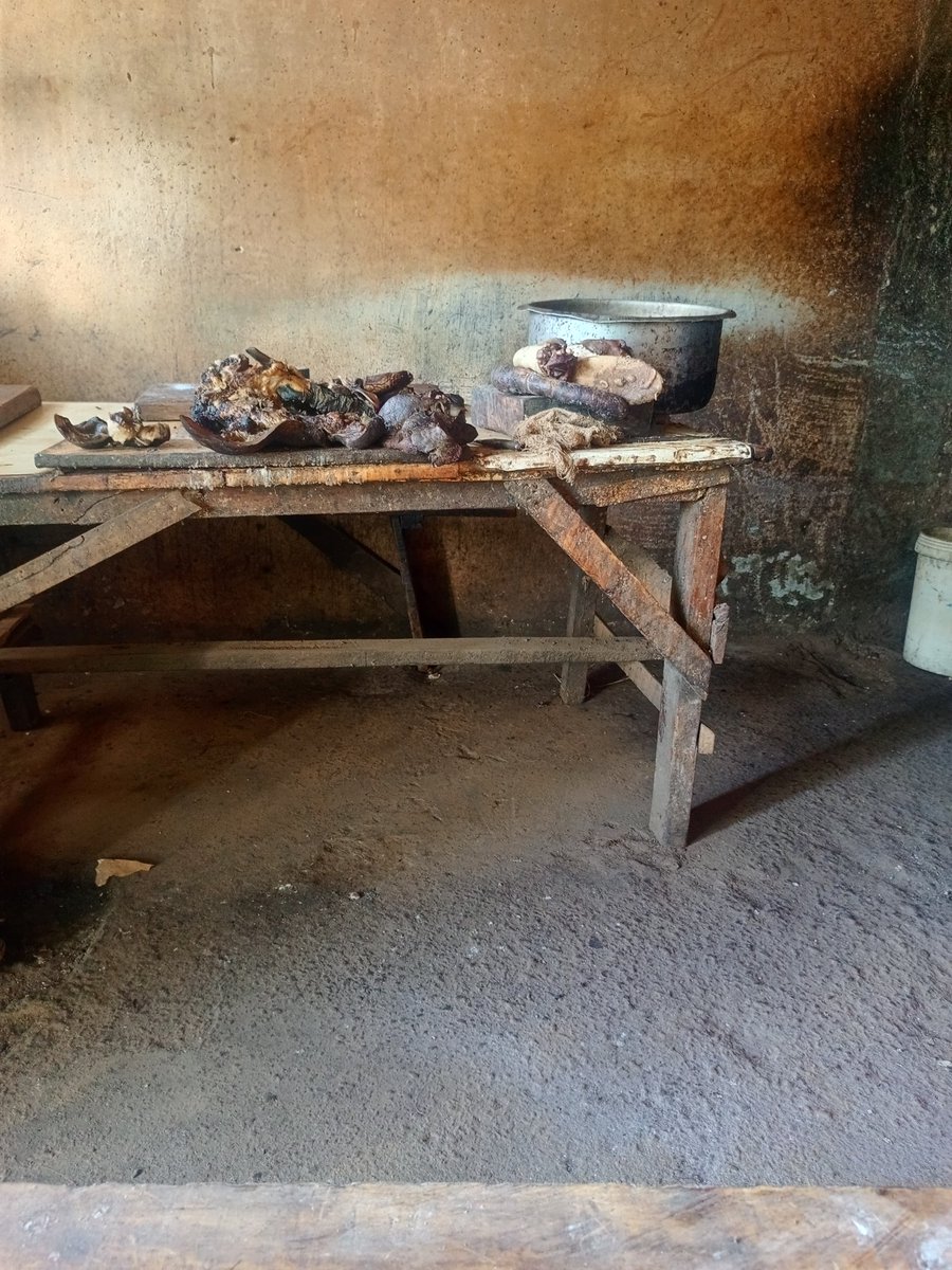 WARÚHIÚ tweet media