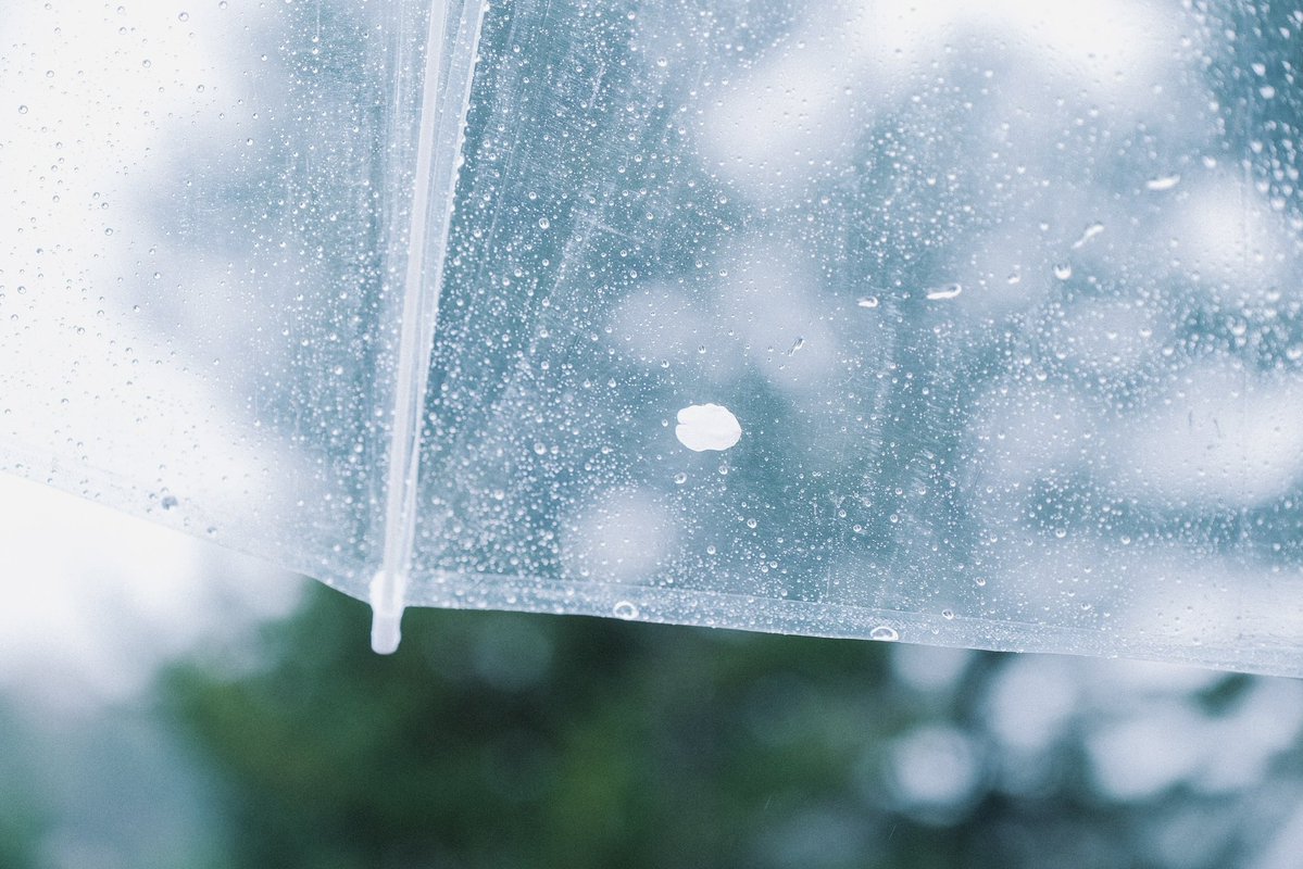 もなみん tweet media