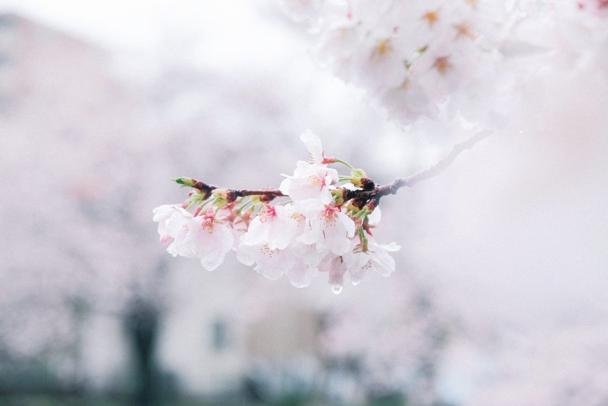 もなみん tweet media