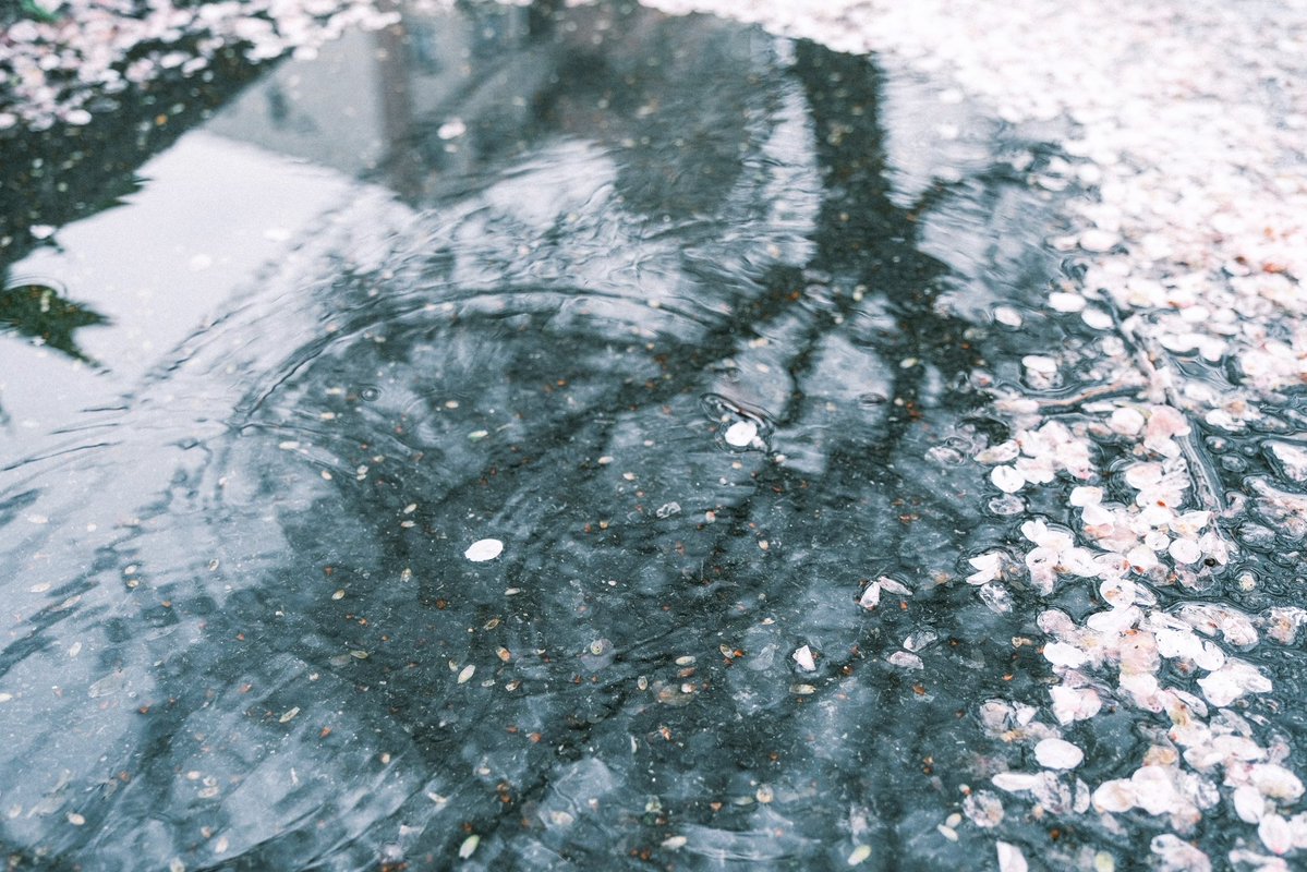 もなみん tweet media