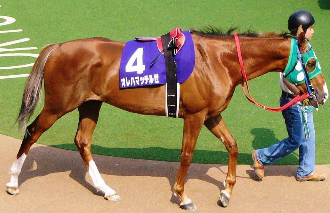 柊坂葵（ひいらぎざかあおい）🦀🦐🥩 tweet media