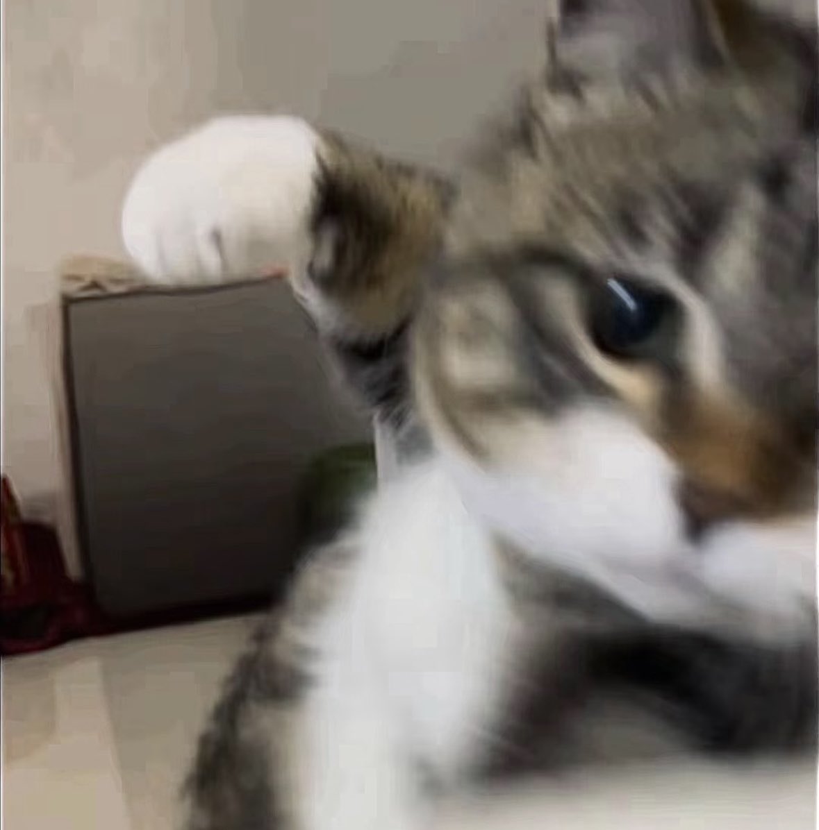 JamieSheep tweet media