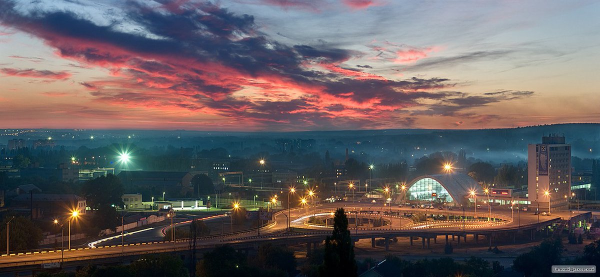 ✙Товстий кіт ꑭ✙ tweet media