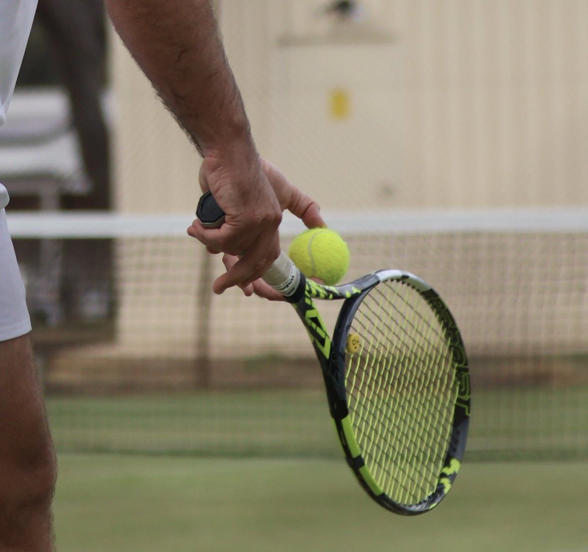 Norley mon tweet media