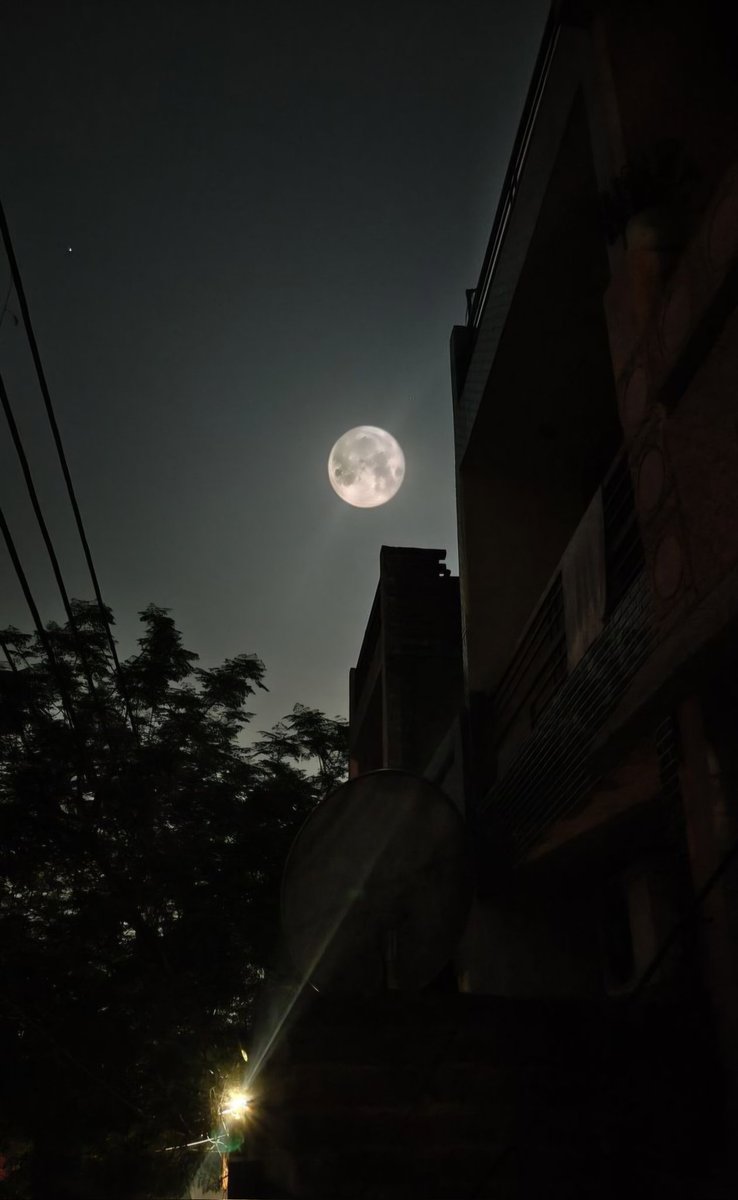 Will E Eckerslike - Covid & Climate heretic. tweet media